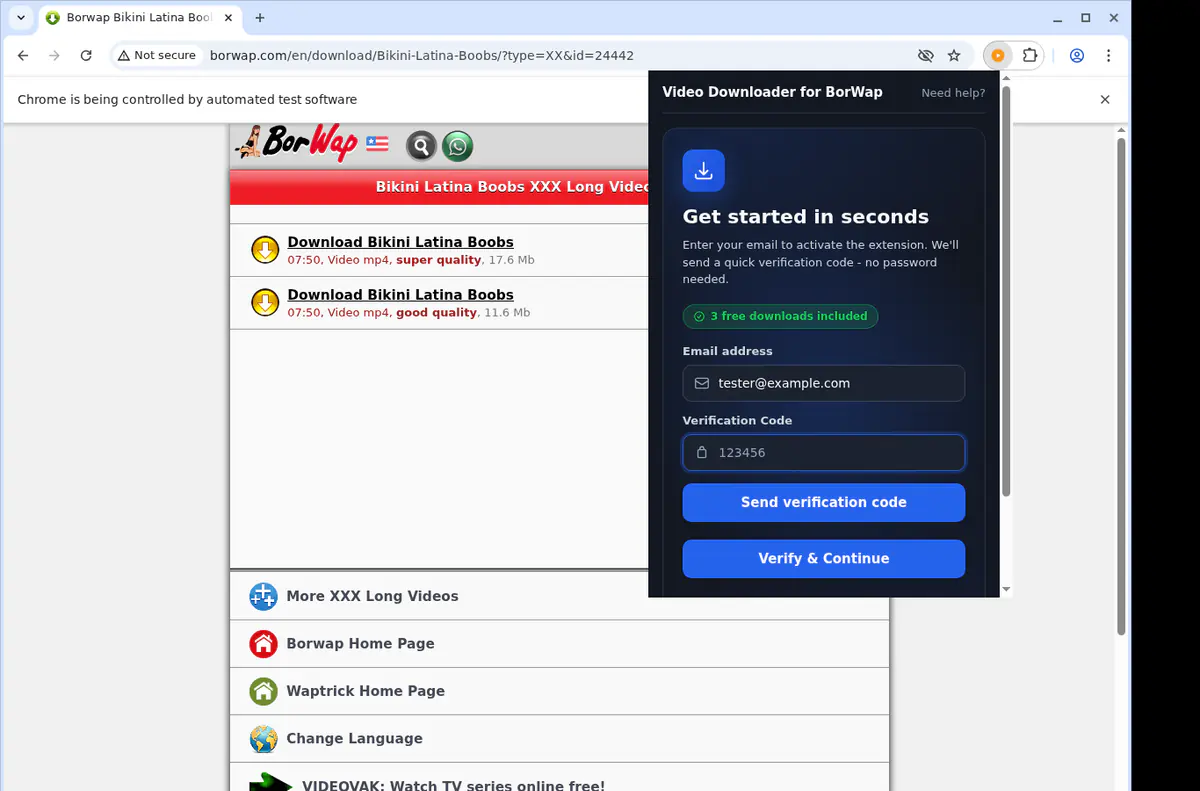 Borwap Video Downloader screenshot 2