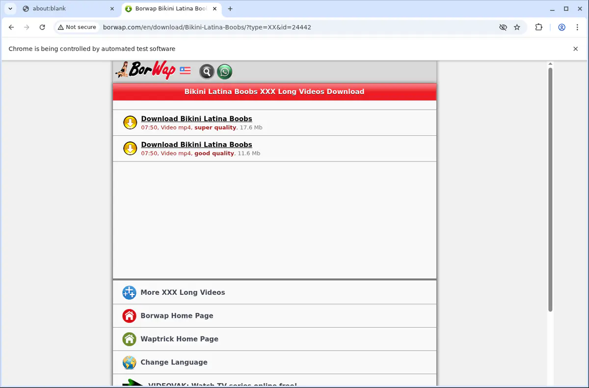 Borwap Video Downloader screenshot 4